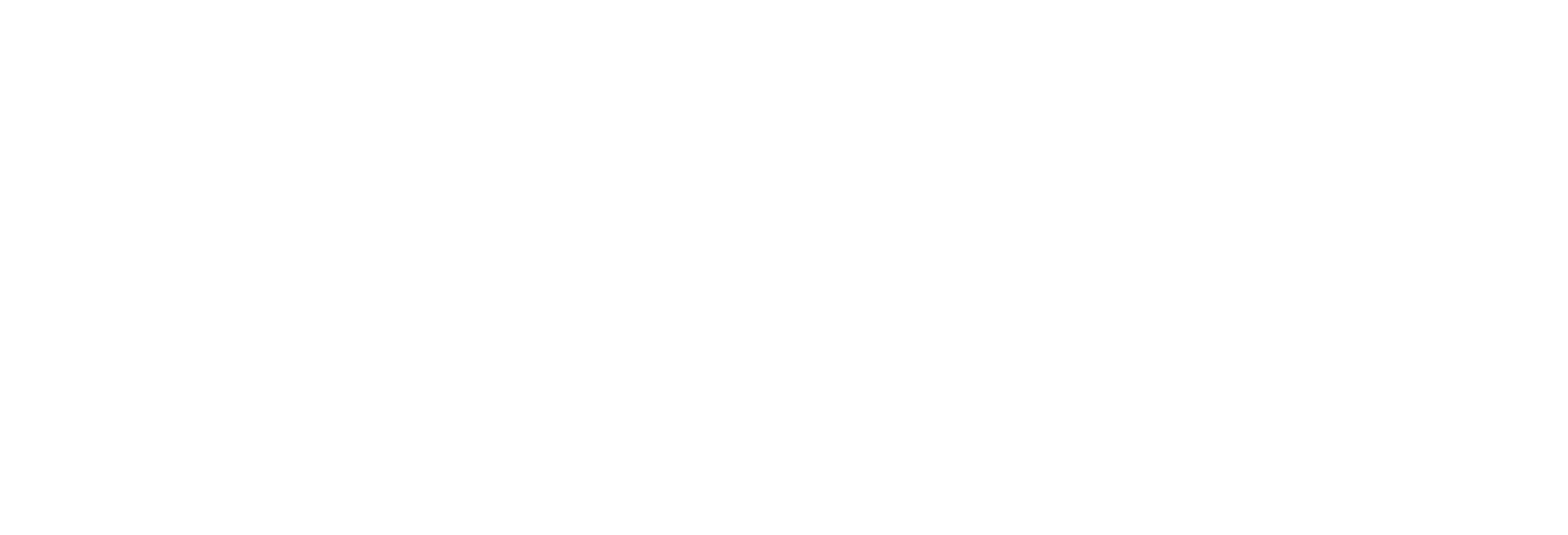 نوتیکا